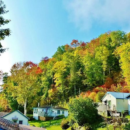 Silver Springs Cottage Resort Harcourt Экстерьер фото