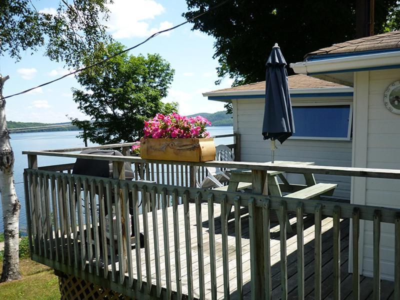 Silver Springs Cottage Resort Harcourt Экстерьер фото