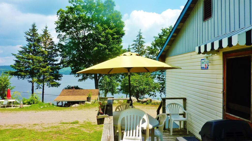 Silver Springs Cottage Resort Harcourt Экстерьер фото