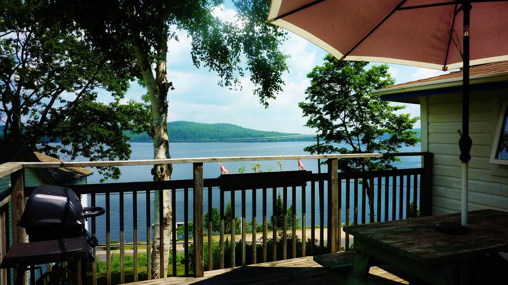 Silver Springs Cottage Resort Harcourt Экстерьер фото