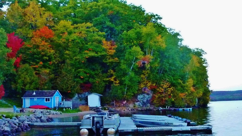 Silver Springs Cottage Resort Harcourt Экстерьер фото