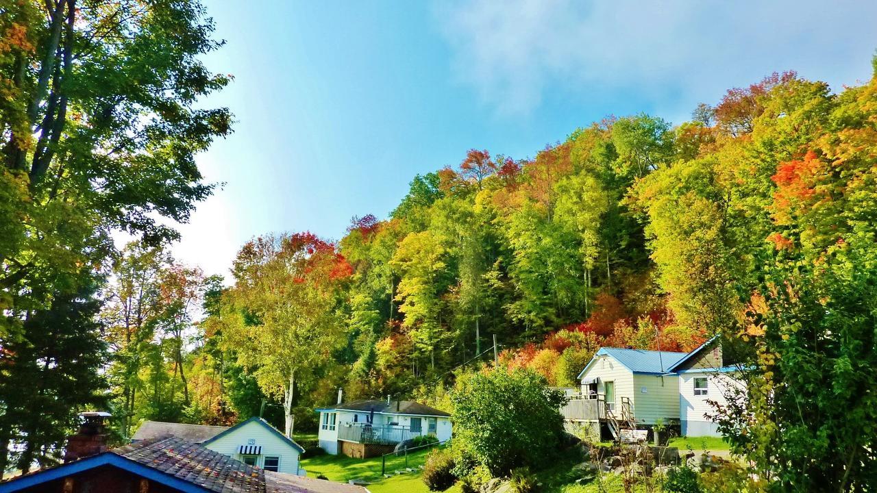 Silver Springs Cottage Resort Harcourt Экстерьер фото
